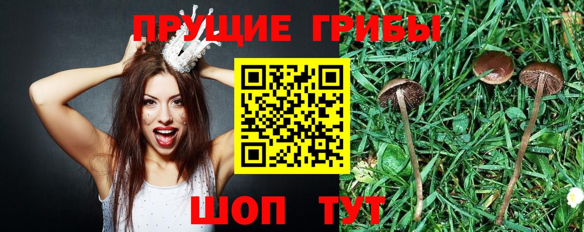 Галлюциногенные грибы мухоморы Октябрьский